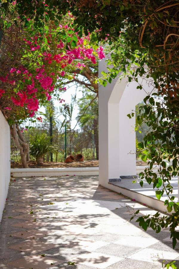 Villas Las Almenas Maspalomas  Eksteriør billede